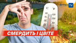 Смердить і цвіте. Через аномальну спеку Дніпро перетворився на зелене болото