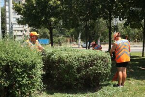 «Кадри нам потрібні. Ми вчимо з нуля»: КП «Міськзеленбуд» Дніпра запрошує на роботу