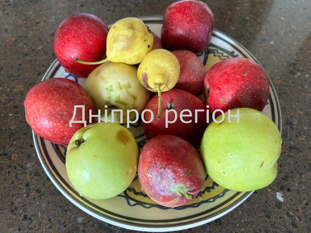 До рукавичок, на щастя, ще далеко. Якою буде погода в Дніпрі в серпні 2024