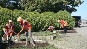 «Приємно бачити, як Дніпро стає зеленішим. Ці зміни дійсно помітні», — дніпрянин про роботу КП «Міськзеленбуд»