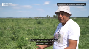 Майже 100 гектарів кавунів: фермер-переселенець з Краматорська вирощує баштанні поблизу Царичанки (відео)