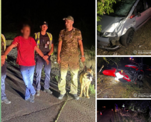 На Дніпропетровщині кінолог з собакою розшукали у чагарниках винуватця смертельної ДТП
