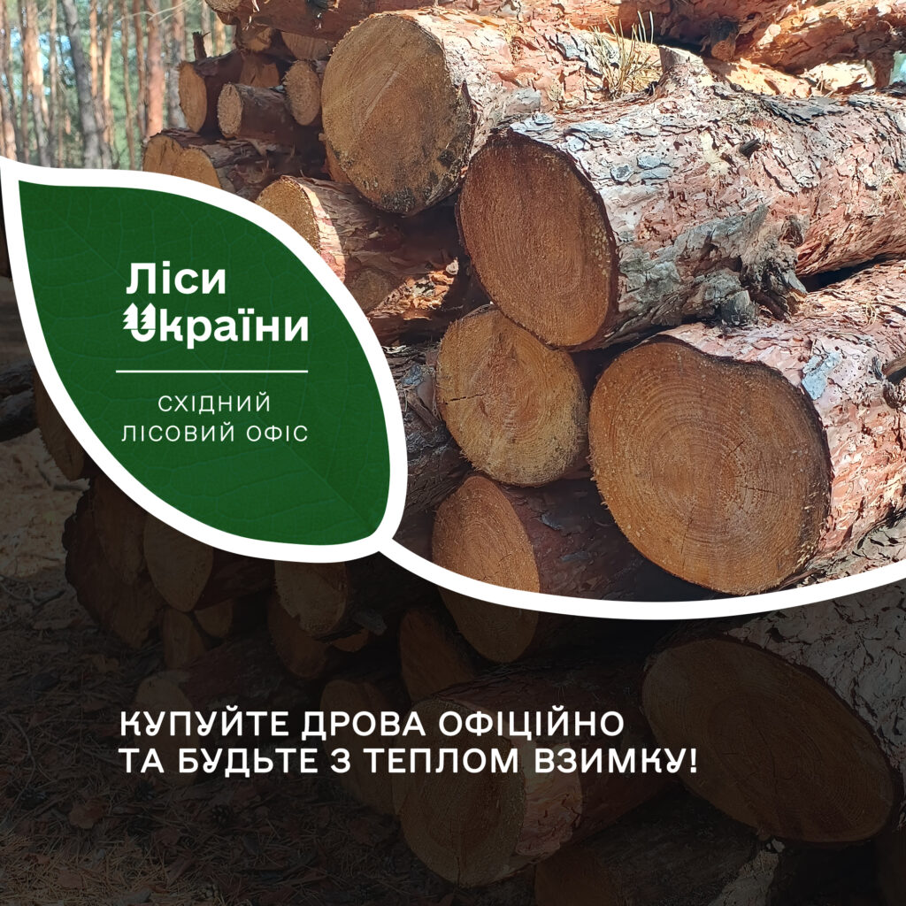 Як запастись дровами на зиму. Скільки коштують дрова в Дніпропетровській області