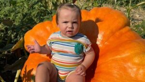 Четверо чоловіків несли його в авто. Гарбуз-рекордсмен виріс на Дніпропетровщині