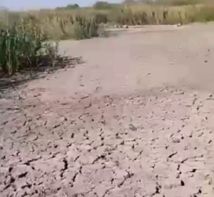 На Дніпропетровщині висохло глибоке озеро (відео)