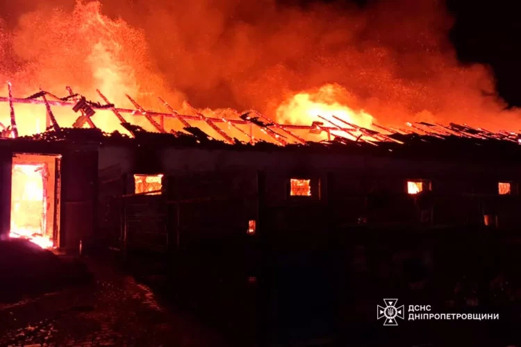 Згоріло понад 140 тварин на конефермі: на Дніпропетровщині сталася масштабна пожежа (ФОТО)