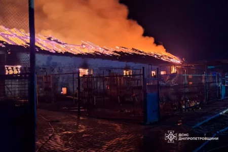 Згоріло понад 140 тварин на конефермі: на Дніпропетровщині сталася масштабна пожежа (ФОТО)