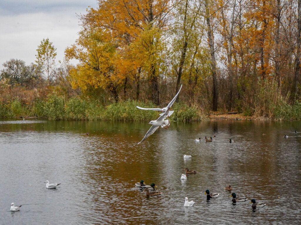 Атмосферний фронт несе ускладнення погоди. Прогноз в Дніпропетровській області на тиждень