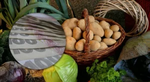 В Україні впали ціни на популярні продукти. Скільки коштують овочі в Дніпрі