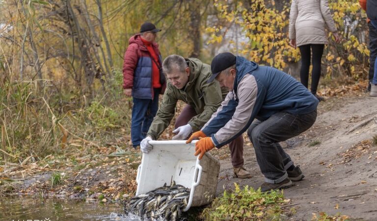 Короп, білий амур, товстолоб. На Дніпропетровщині зарибили дренажний канал (фото)