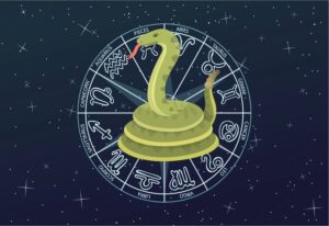 Гороскоп кар’єри на 2025 рік. Що обіцяє Змія всім знакам Зодіаку