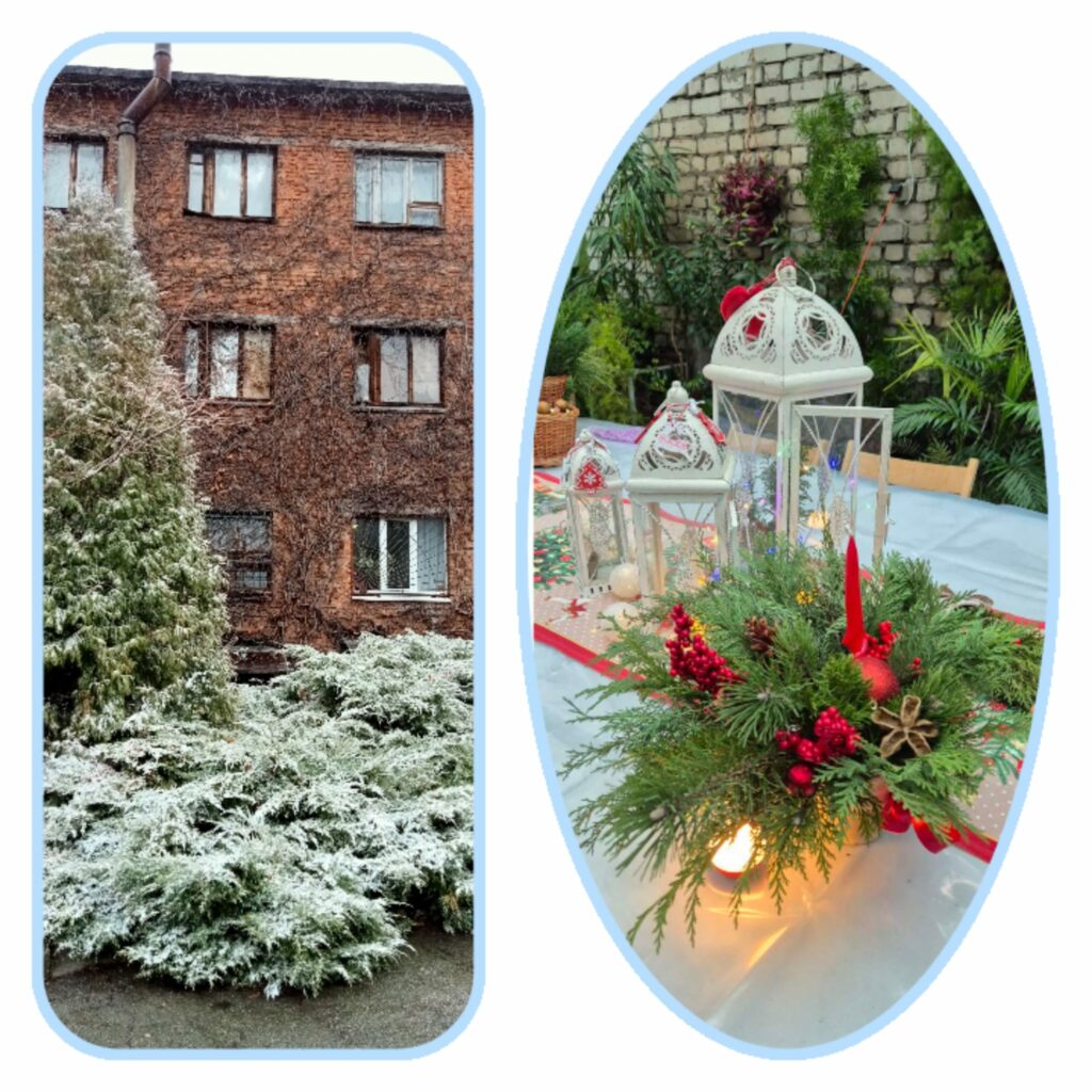 У Дніпрі з 2 січня піднялась вартість вхідного квитка до ботанічного саду У Дніпрі з 2 січня піднялась вартість вхідного квитка до ботанічного саду: яка вартість