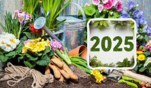 Посівний календар на 2025 рік. Календар сприятливих днів