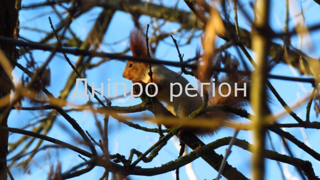 Антициклон тисне – атмосферний тиск росте: якою буде погода у Дніпрі та області 8 лютого