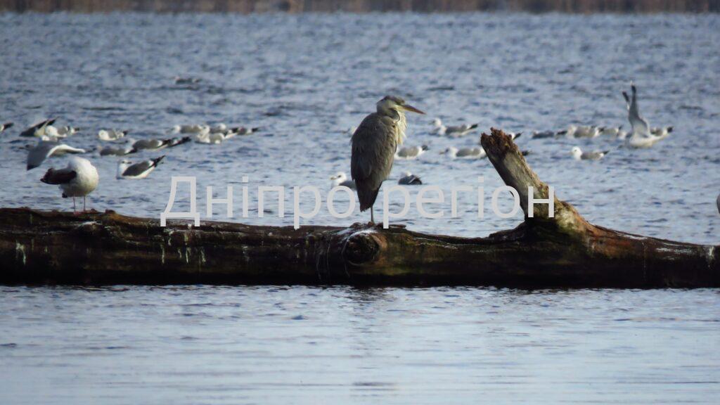 Вдень сонце, вночі морози. Якою погода буде у Дніпрі та області 25 лютого
