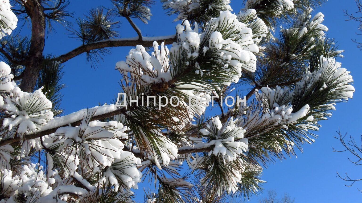 У Дніпрі та області 19 лютого оголосили 1 рівень небезпечності: якою буде погода У Дніпрі та області 19 лютого оголосили 1 рівень небезпечності: якою буде погода