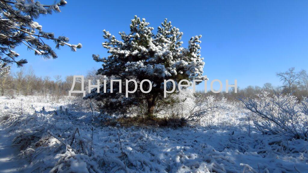 Морози в Україні ще затримаються. Якою буде погода у Дніпрі та області 24 лютого Морози в Україні ще затримаються. Якою буде погода у Дніпрі та області 24 лютого