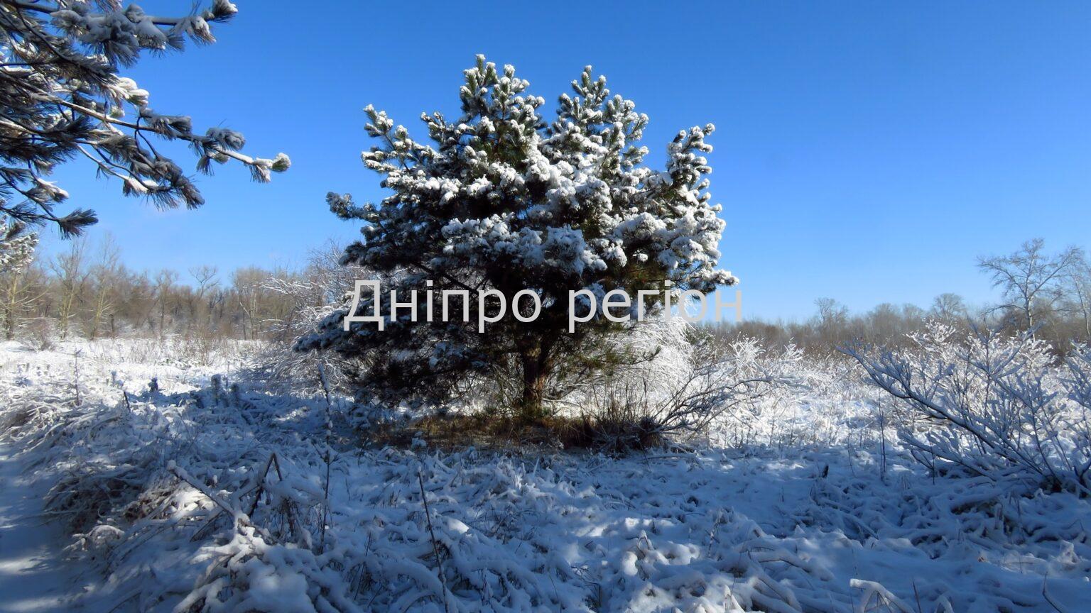 Морози в Україні ще затримаються. Якою буде погода у Дніпрі та області 24 лютого Морози в Україні ще затримаються. Якою буде погода у Дніпрі та області 24 лютого