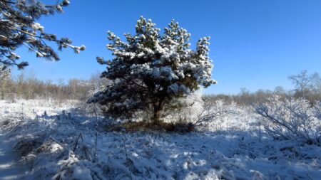 Морози в Україні ще затримаються. Якою буде погода у Дніпрі та області 24 лютого