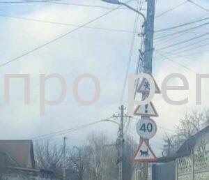 У Дніпрі з’явився незвичайний дорожній знак з чорною кішкою
