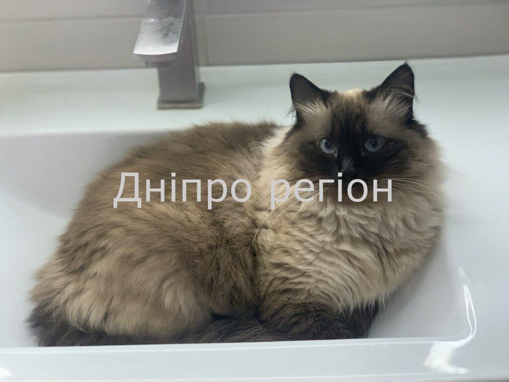 Набирайте тазики і ванни. У Дніпрі великі житлові масиви відключать від води 5 селищ залишились без води: в Дніпровському районі Дніпра припинено водопостачання