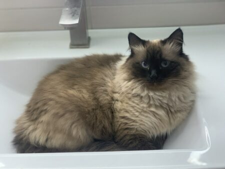 5 селищ залишились без води: в Дніпровському районі Дніпра припинено водопостачання