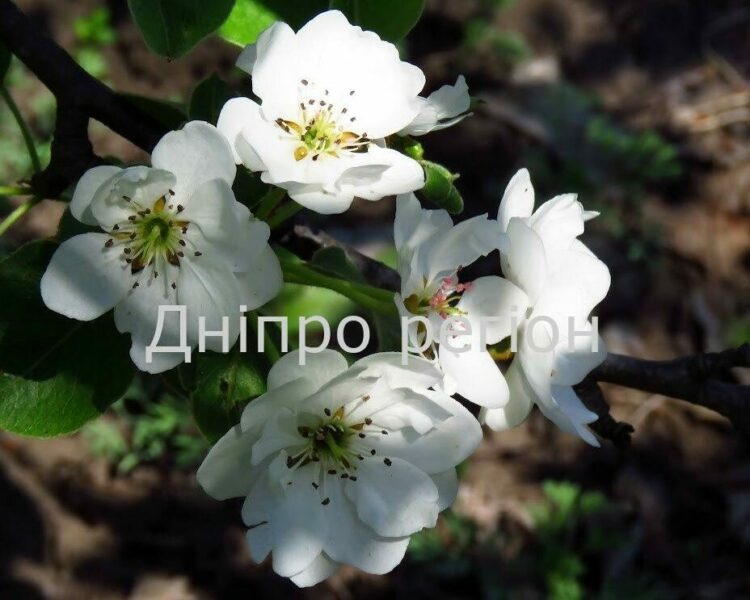 Якою буде погода в останній день квітня. Прогноз погоди на середу Якою буде погода в останній день квітня. Прогноз погоди на середу
