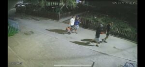 Посаджені на честь загиблих та полонених воїнів. У Дніпрі під вікнами 90-річної жінки покрали квіти