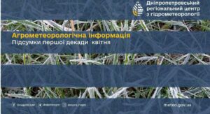 Стало відомо, в якому стані сьогодні абрикоси, озимі на Дніпропетровщині