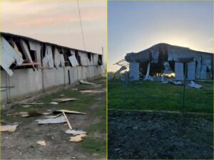 На Дніпропетровщині окупанти знищили страусину ферму