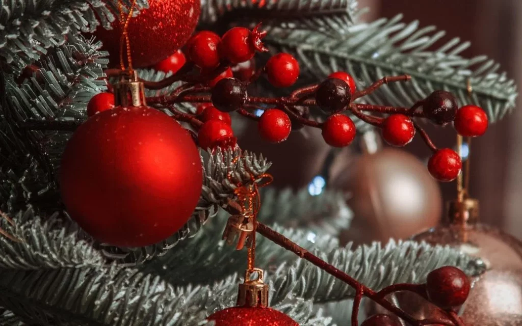 У Дніпрі Ботсад ДНУ запрошує відчути атмосферу новорічних свят