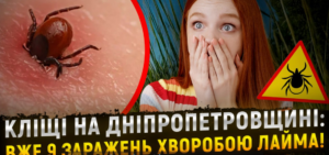 Дніпрян атакують кліщі. Фіксують небезпечну хворобу Лайма (відео)