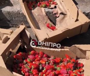У Дніпрі та смітник викинули ящики полуниці