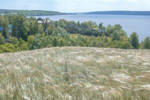На Дніпропетровщині зафільмували ковиловий степ біля легендарних порогів