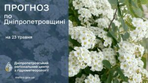 Сонячний та теплий день без опадів. Якою буде погода в Дніпрі 23 травня