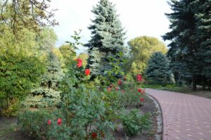 На Дніпропетровщині закрили відомий розарій