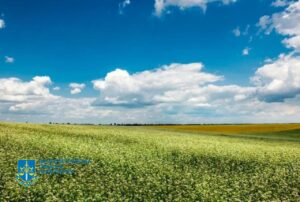 На Дніпропетровщині громадам повернуто понад 18 тис га сільгоспземель