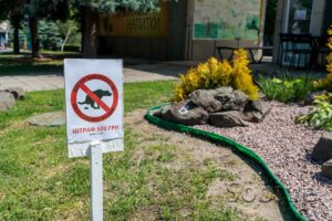 На Дніпропетровщині з’явилися попередження для власників собак і котів