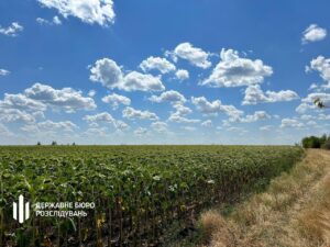 На Дніпропетровщині танковий полігон роками незаконно засіювали