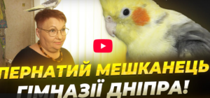 У Дніпрі в гімназії оселився папуга Тіша (відео)
