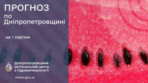 Прогноз погоди на 1 серпня в Дніпрі. Синоптики дали несподіваний прогноз