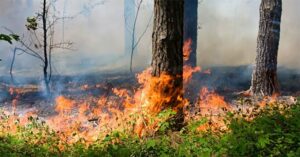 Від 3 000 до 153 000 грн. На Дніпропетровщині можуть оштрафувати за недбалість