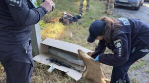 На Дніпропетровщині викрили торговця зброєю 