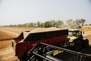 На Дніпропетровщині розпал жнив. На полях кипить робота