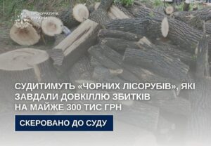 На Дніпропетровщині судитимуть “чорних лісорубів”