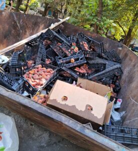 У Дніпрі в смітник викинули ящики з персиками