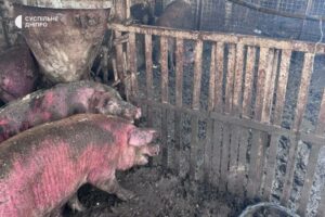 На Дніпропетровщині неадекватний чоловік порізав ножем рятувальників і двох жінок