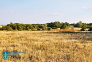 На Дніпропетровщині державі повернуто земельну ділянку вартістю понад 2 млн грн