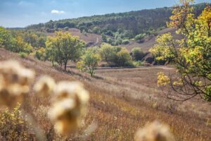 Місце, яке варто побачити. Біла балка – містична перлина Дніпра