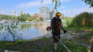 У Дніпрі в парках міста ведуть боротьбу з агресивними рослинами